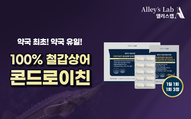 앨리스랩 콘드로이친